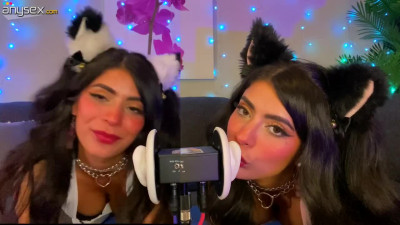 Cat babe ear licking ASMR